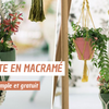 Tuto DIY : Comment créer une suspension plante en macramé ?