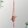 Suspension macramé plante rose